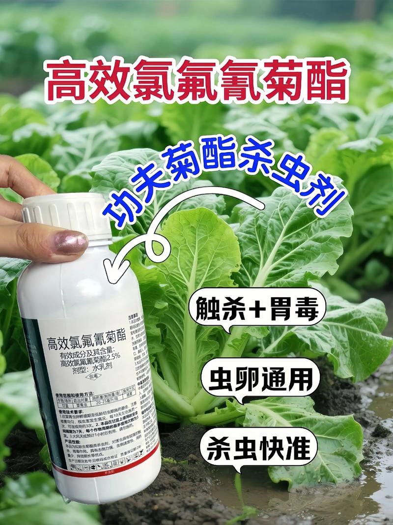 屯昌代生中心:农药对供卵代生妈妈的危害